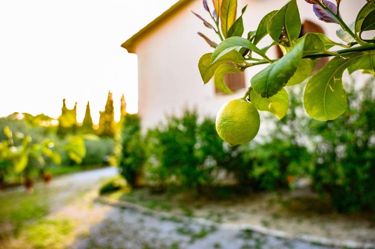 B&B Villa Giulia Saturnia Kültér fotó