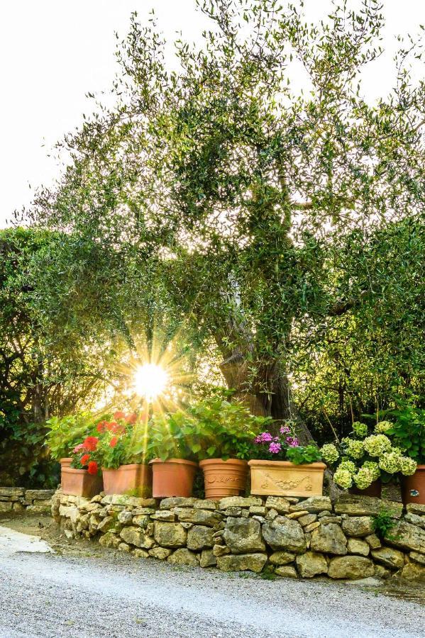 B&B Villa Giulia Saturnia Kültér fotó